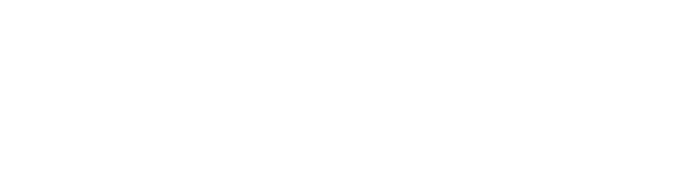 BOB Logo