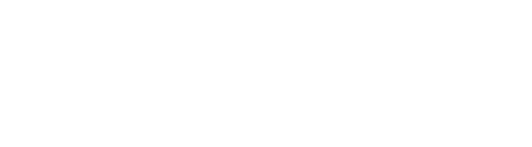 Bash Logo