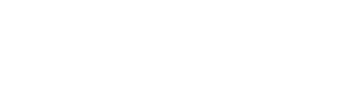HD12 Logo
