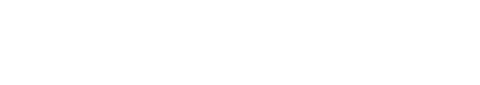 S-Type Logo