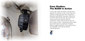 Case Studies: The BASH in Action
