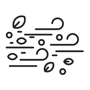 Icon Solar Dust Debris