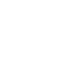 Icon Built In USA