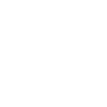 Icon Custom OEM