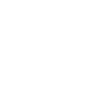 Icon Dedicated Support