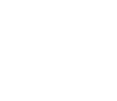 Icon Emergency Response