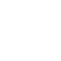 Icon Military Defense