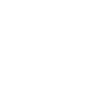 Icon Shield