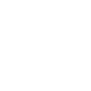 Icon Clock