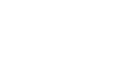 Icon Perimeter Security